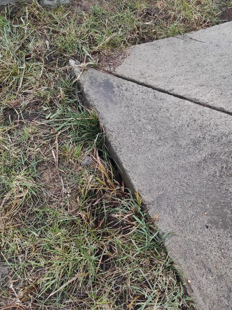 Dală de beton deplasată, cu iarbă pe margine